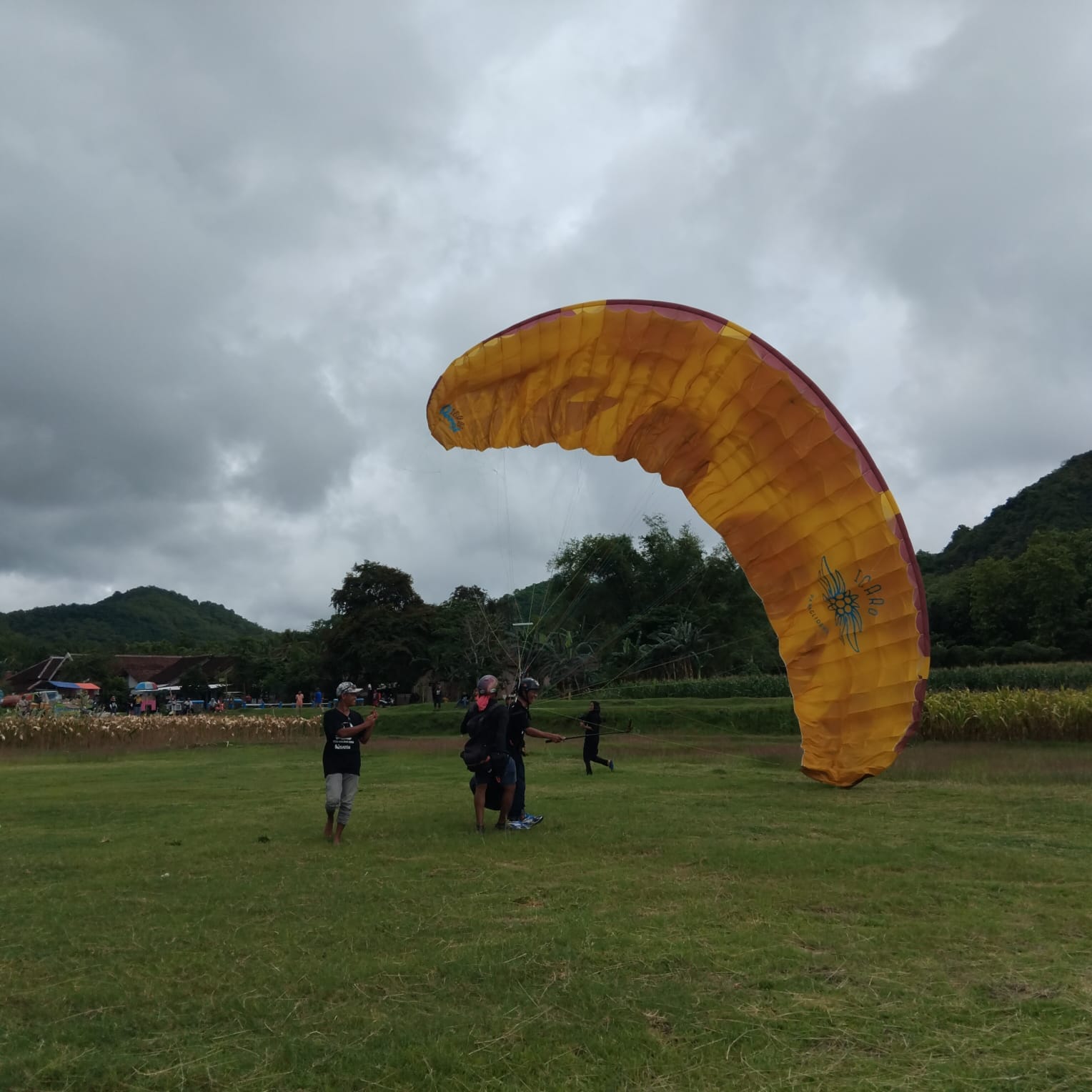 IMG-20241130-WA0066